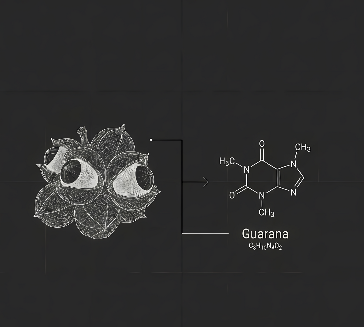 FUSION CAFÉINE / GINSENG